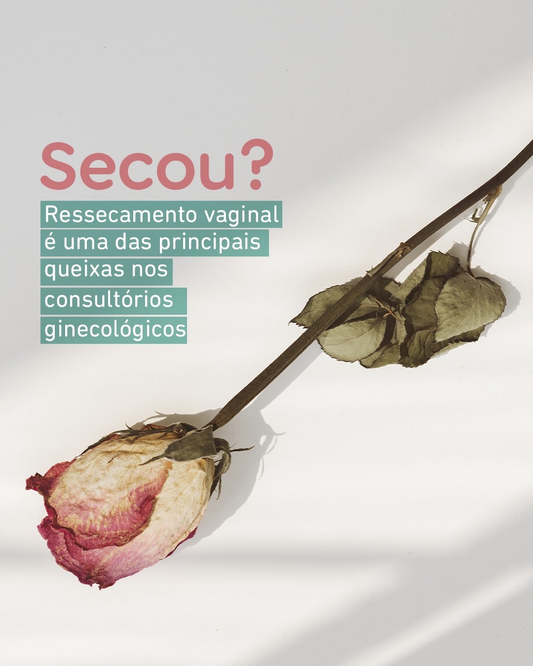 ressecamento-vaginal