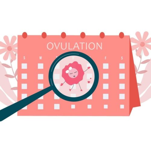 fertilidade-da-mulher